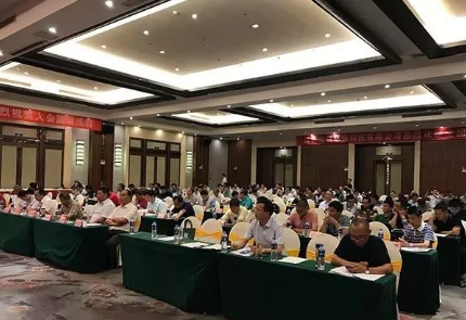 劉萬青受邀參加2019全國各地表面工程(電鍍)行業(yè)協(xié)會(huì)理事長、秘書長聯(lián)席會(huì)